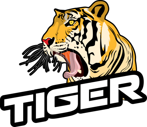 Roaring_ Tiger_ Graphic PNG image