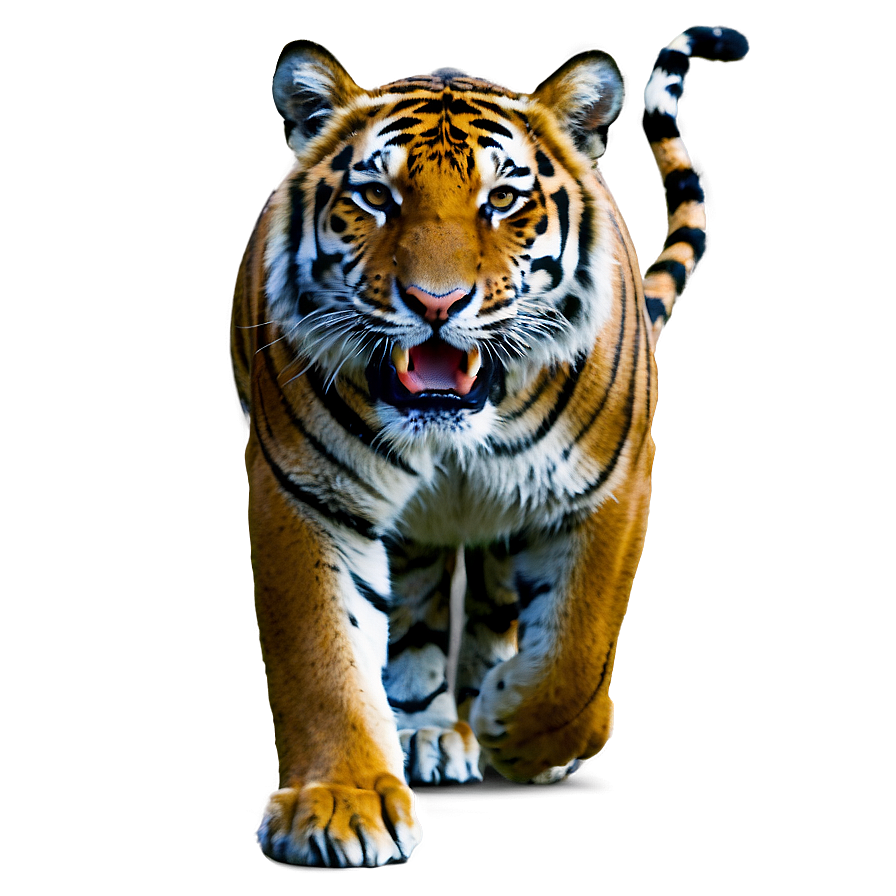 Roaring Tiger In Jungle Png Kyk63 PNG image