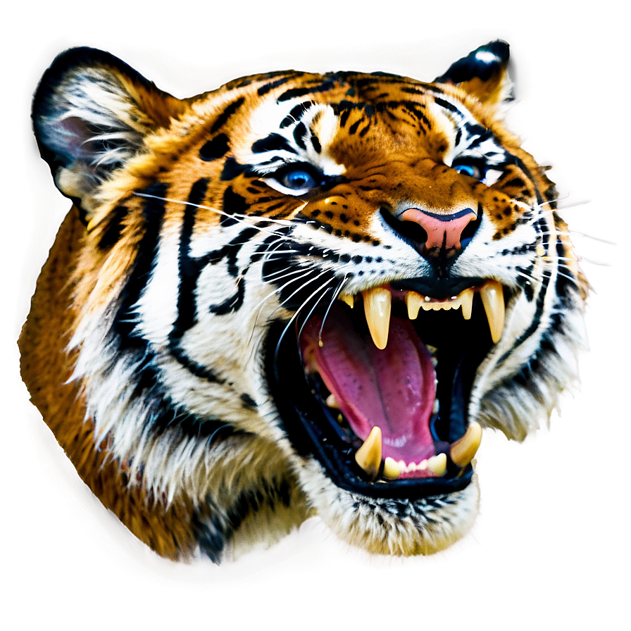 Roaring Tiger Png 05032024 PNG image