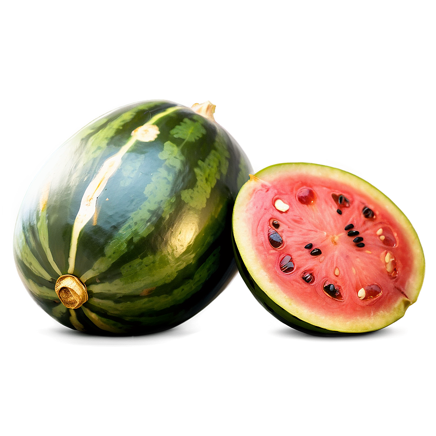 Roasted Watermelon Seeds Png 98 PNG image