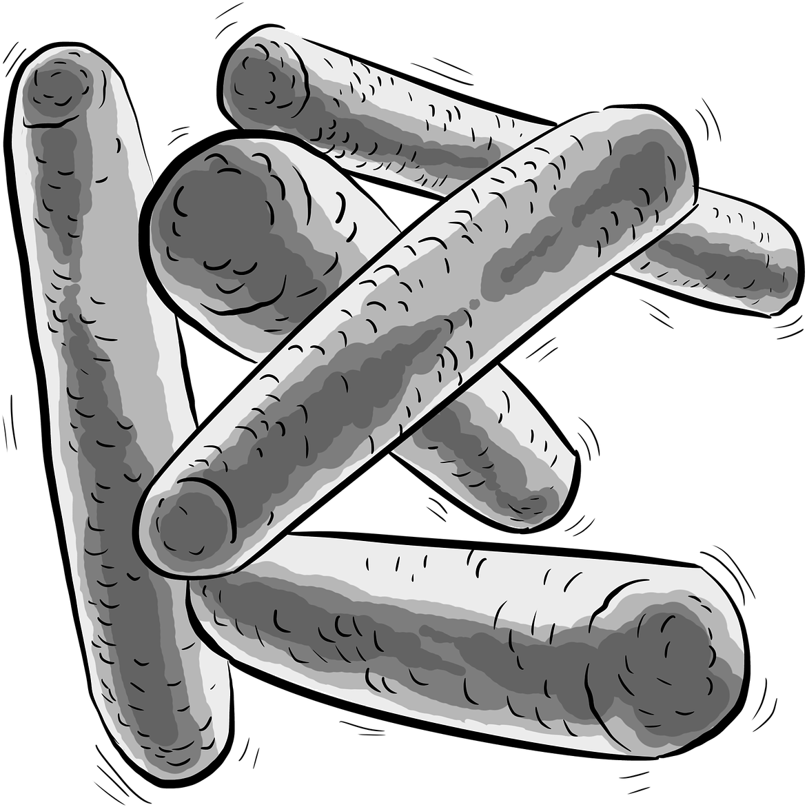 Rod Shaped Bacteria Illustration PNG image