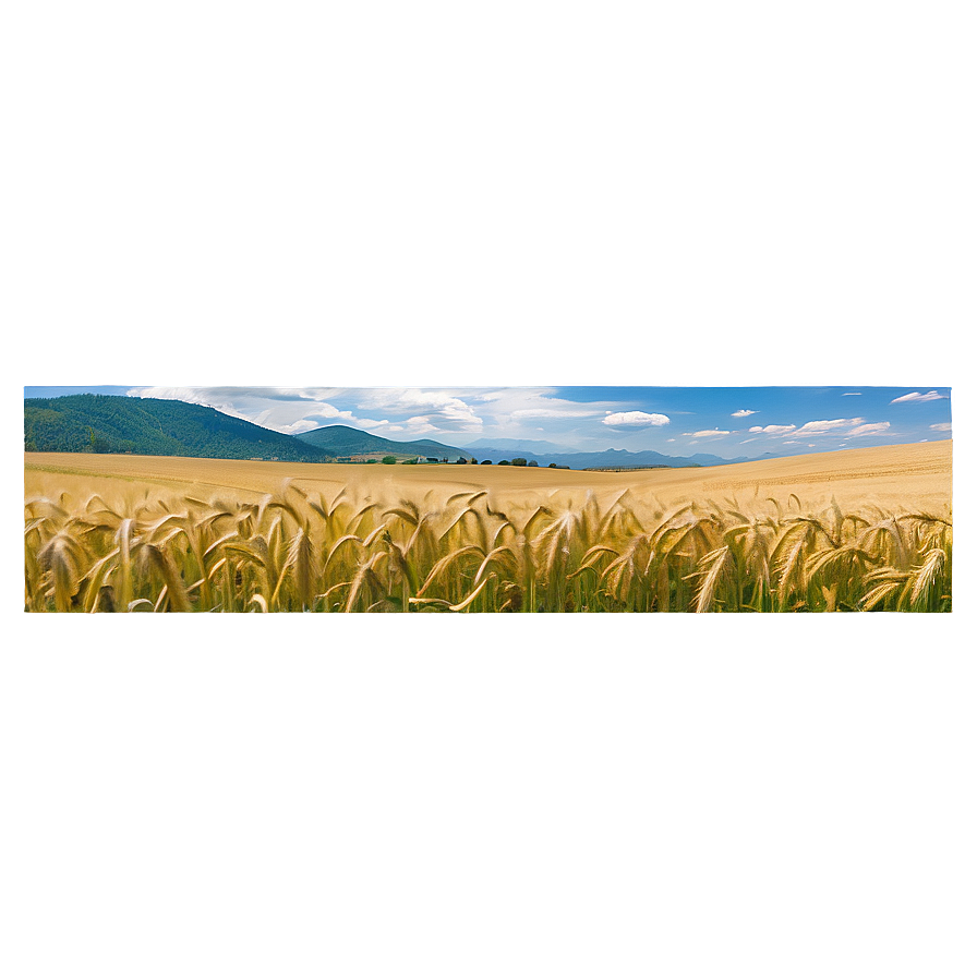 Rolling Hills Wheat Field Png 39 PNG image