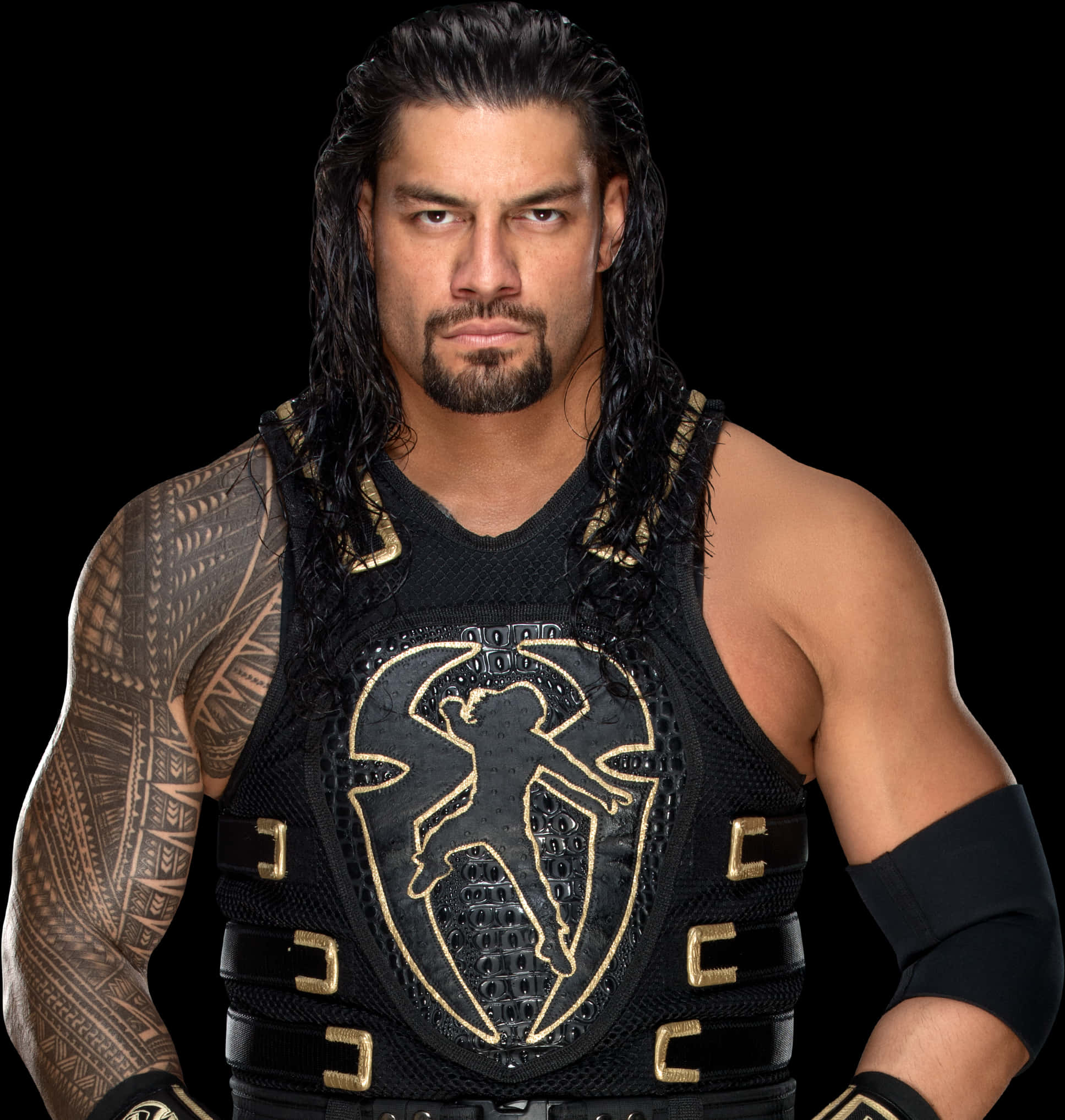 Roman_ Reigns_ Professional_ Wrestler_ Portrait PNG image