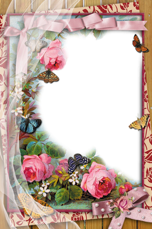 Romantic Floral Butterfly Frame PNG image