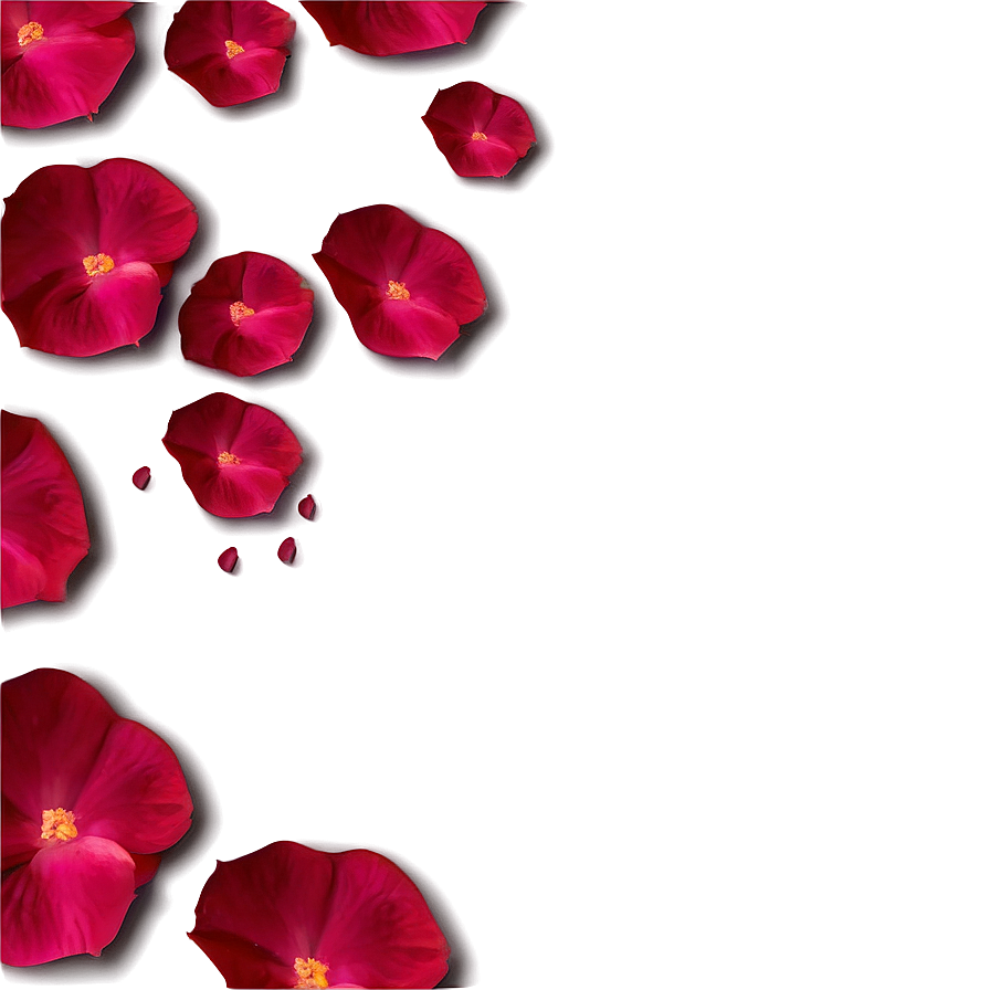 Romantic Rose Petals Png Svb19 PNG image