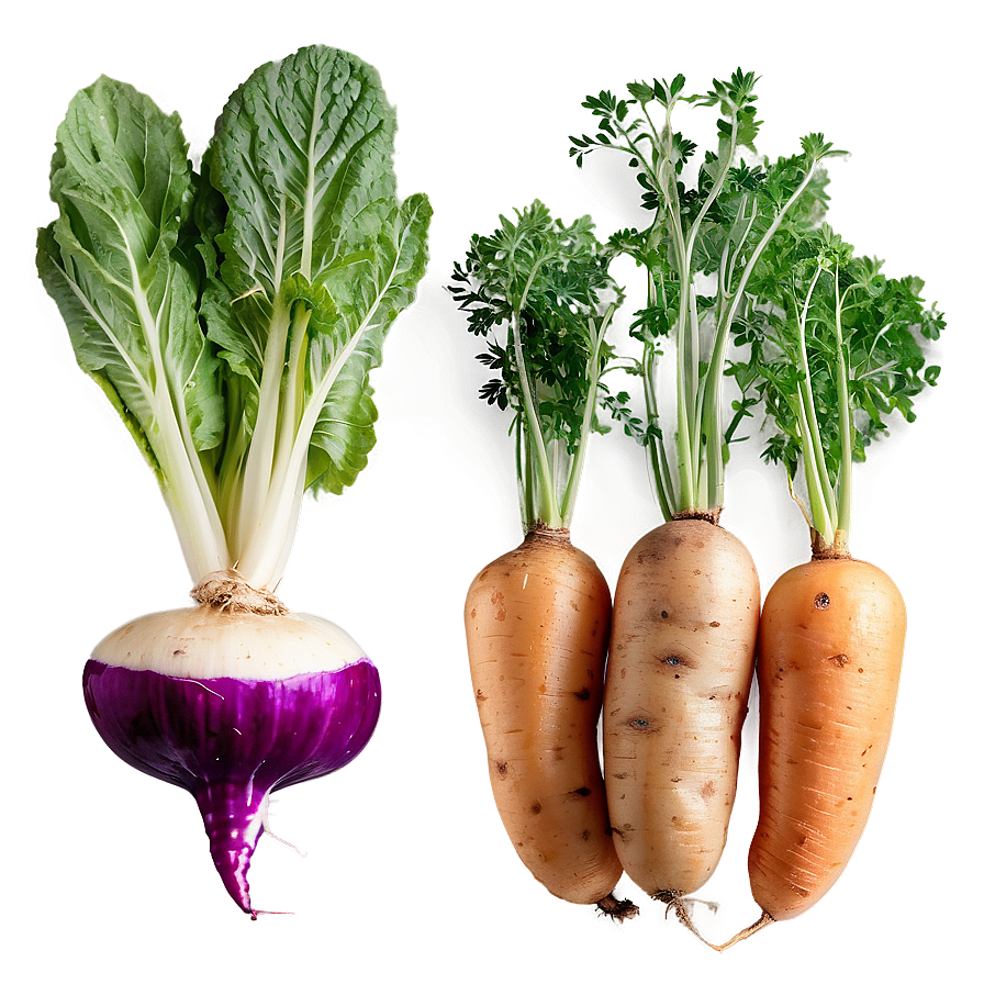Root Vegetables Png 05242024 PNG image