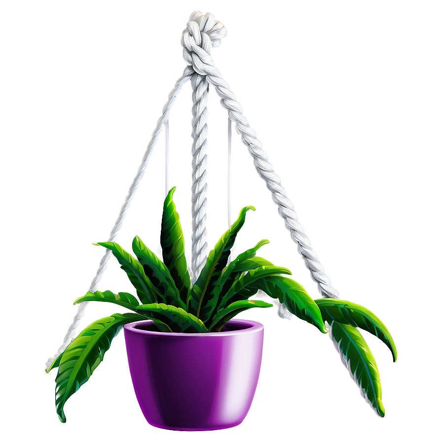 Rope Hanging Plant Png 85 PNG image