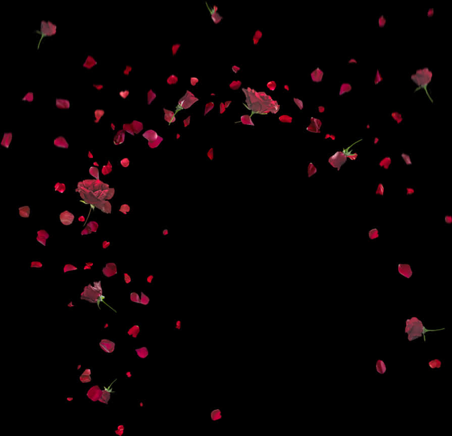 Rose Petals Fallingin Darkness PNG image