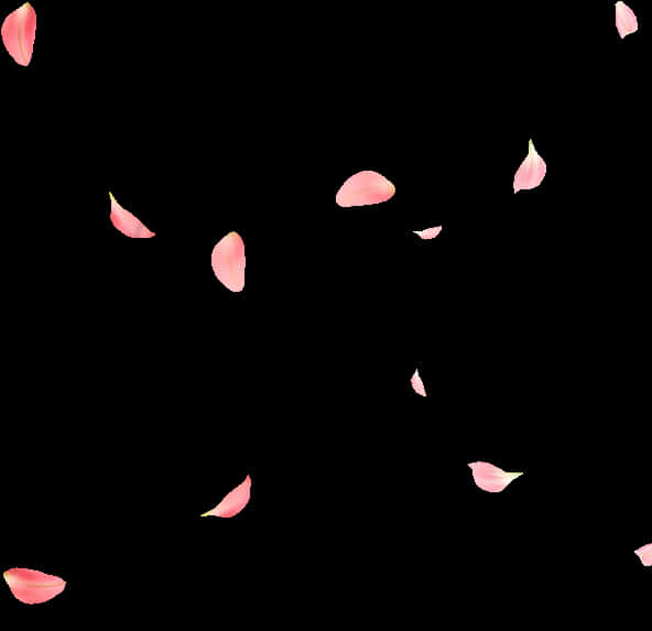 Rose Petals Fallingon Black Background PNG image