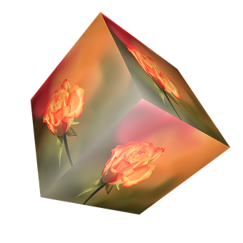 Rose Reflection Cube Art PNG image