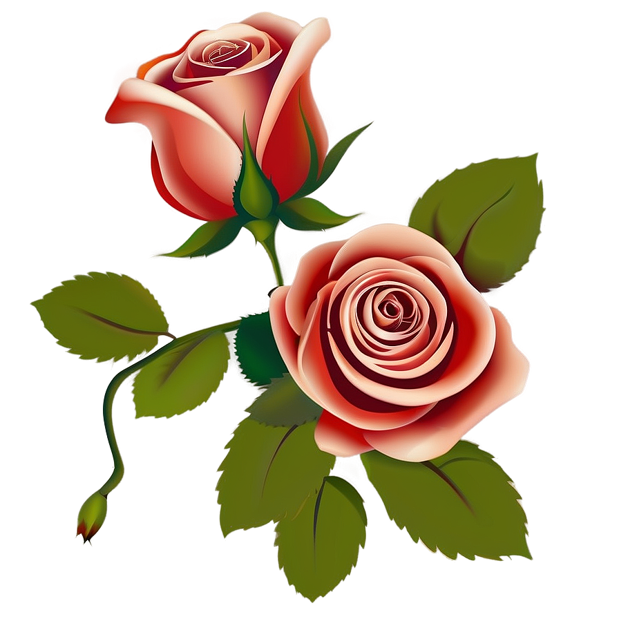 Rose Vector C PNG image