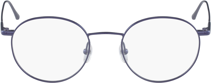 Round Frame Blue Eyeglasses PNG image