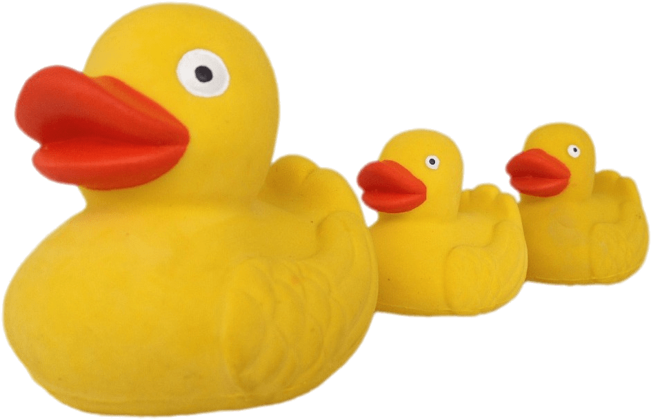 Rubber Duck Family Row PNG image