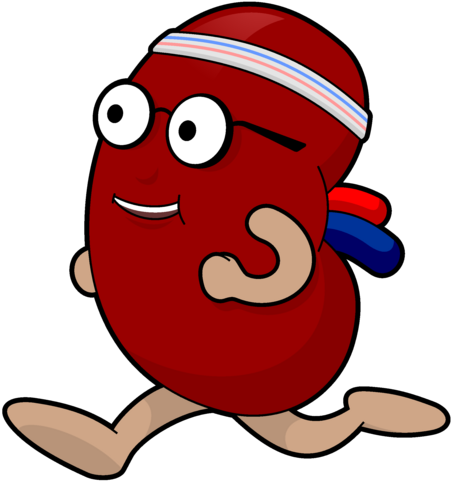Running Kidney Cartoon Character PNG image