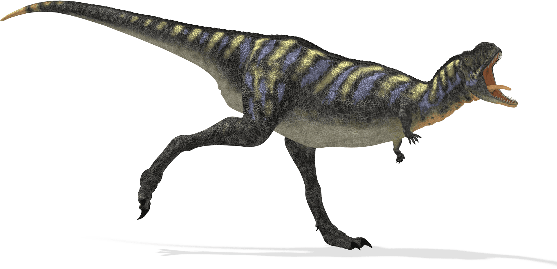 Running Theropod Dinosaur Illustration PNG image