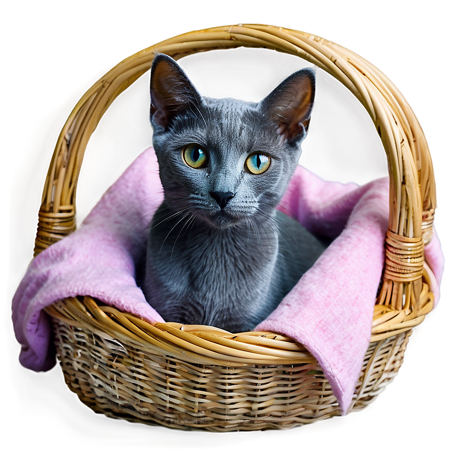 Russian Blue Cat In Basket Png 23 PNG image