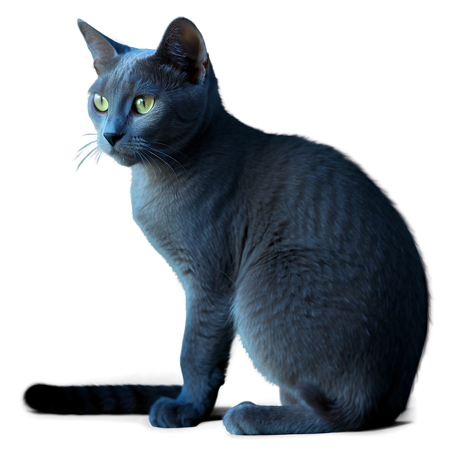 Russian Blue Cat In Shadow Png 44 PNG image