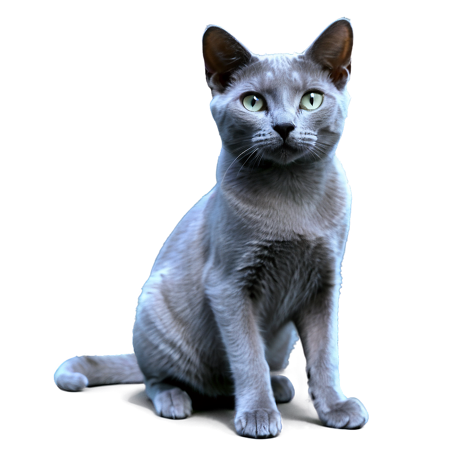 Russian Blue Cat Png Ggs PNG image