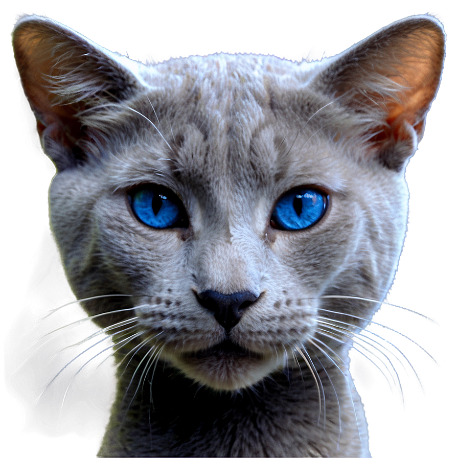 Russian Blue Cat Whiskers Png Iui PNG image