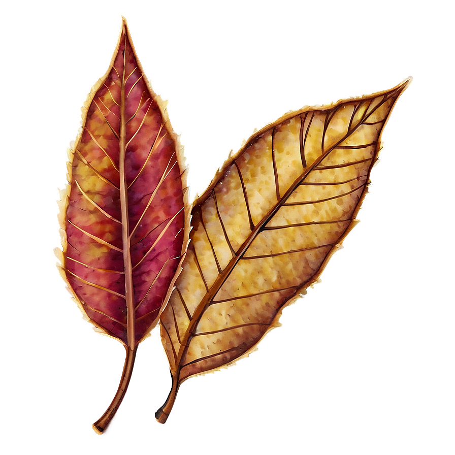 Rustic Autumn Leaves Png Yna PNG image