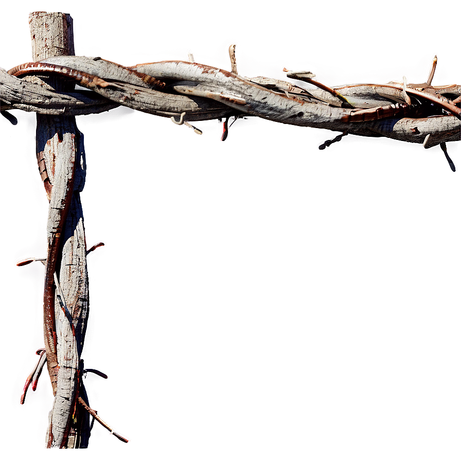 Rustic Barbed Wire Png Mox65 PNG image