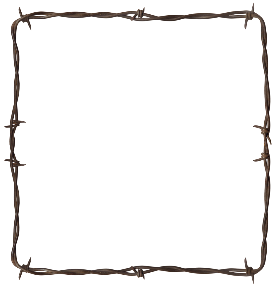 Rustic Barbwire Frame PNG image