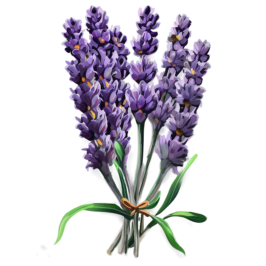 Rustic Lavender Bunch Png 06132024 PNG image