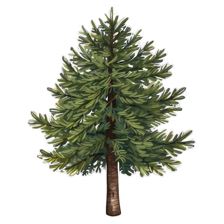 Rustic Spruce Tree Sketch Png 90 PNG image