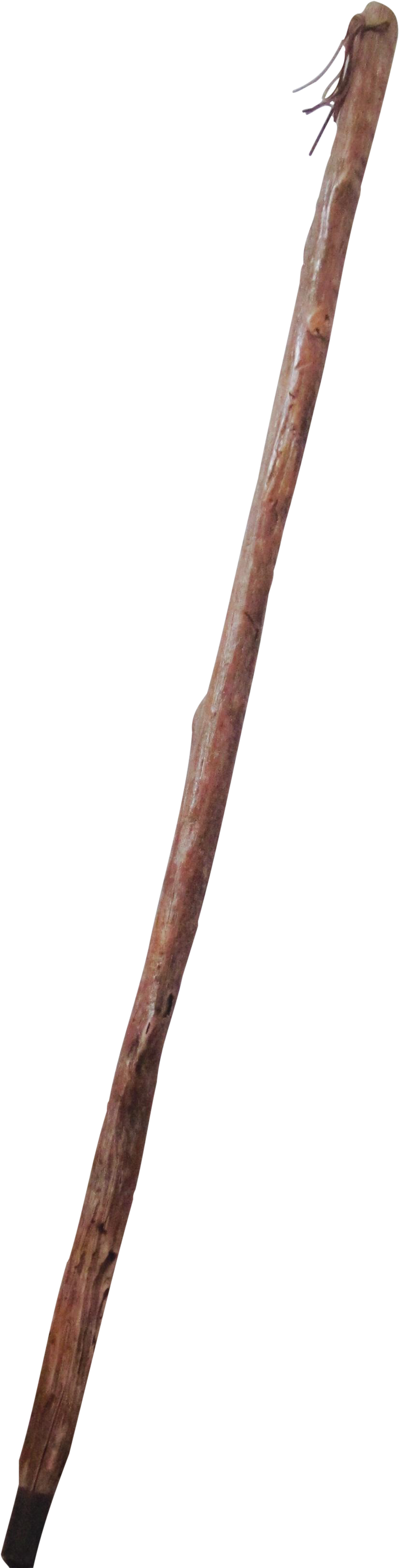 Rustic Walking Stick PNG image