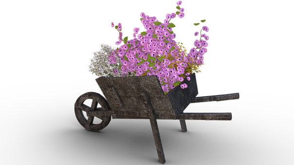 Rustic Wheelbarrowwith Flowers PNG image