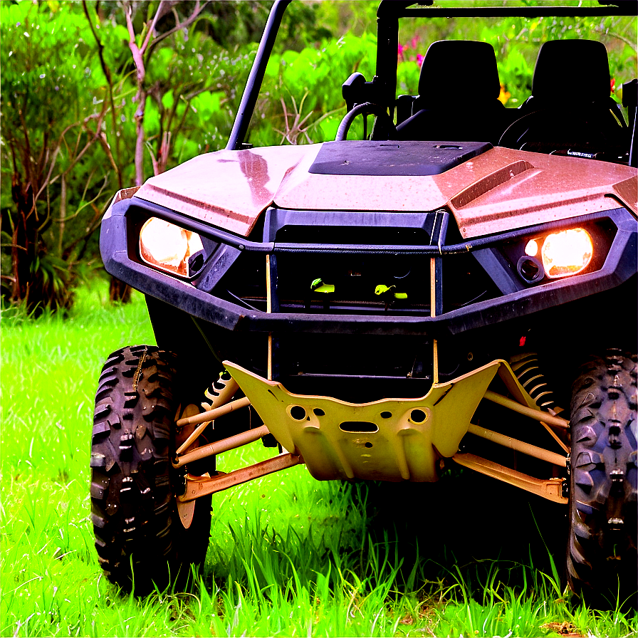 Rzr Wildlife Encounters Png Pgi PNG image