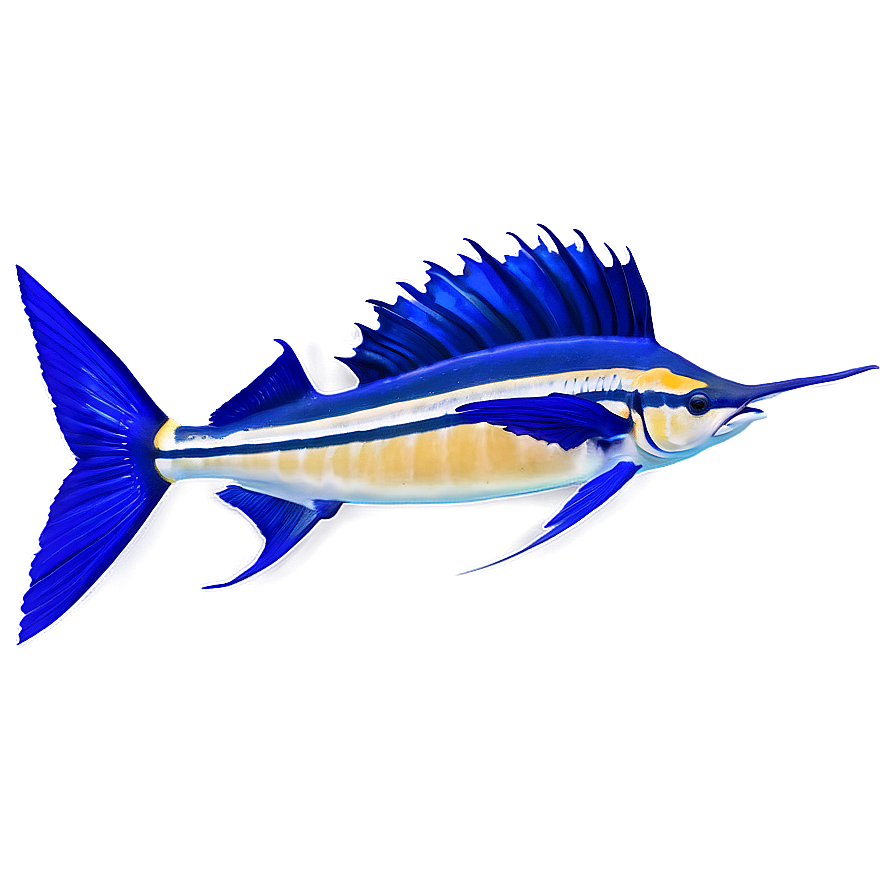 Sailfish And Coral Reef Png 06262024 PNG image