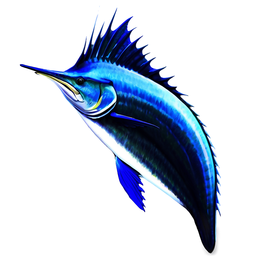 Sailfish In Ocean Png 06262024 PNG image