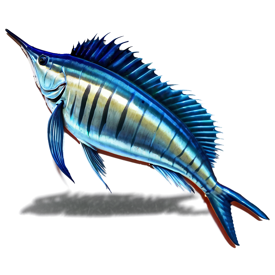 Sailfish In Ocean Png Tnx PNG image