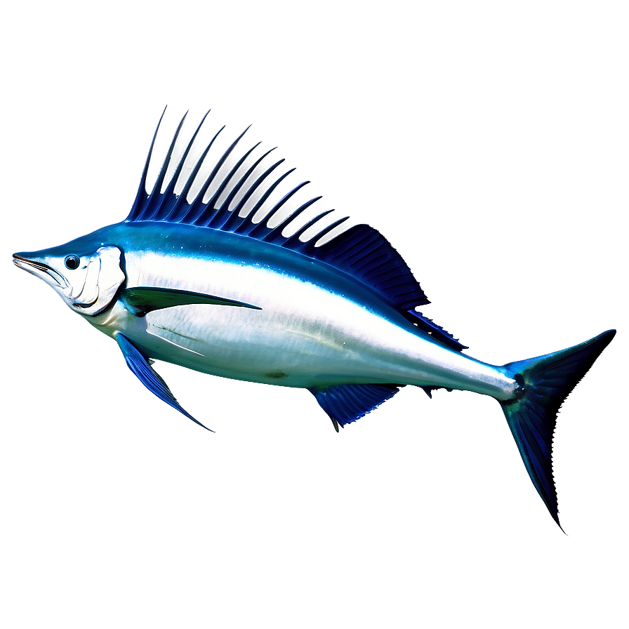 Sailfish In Water Png Uxj PNG image