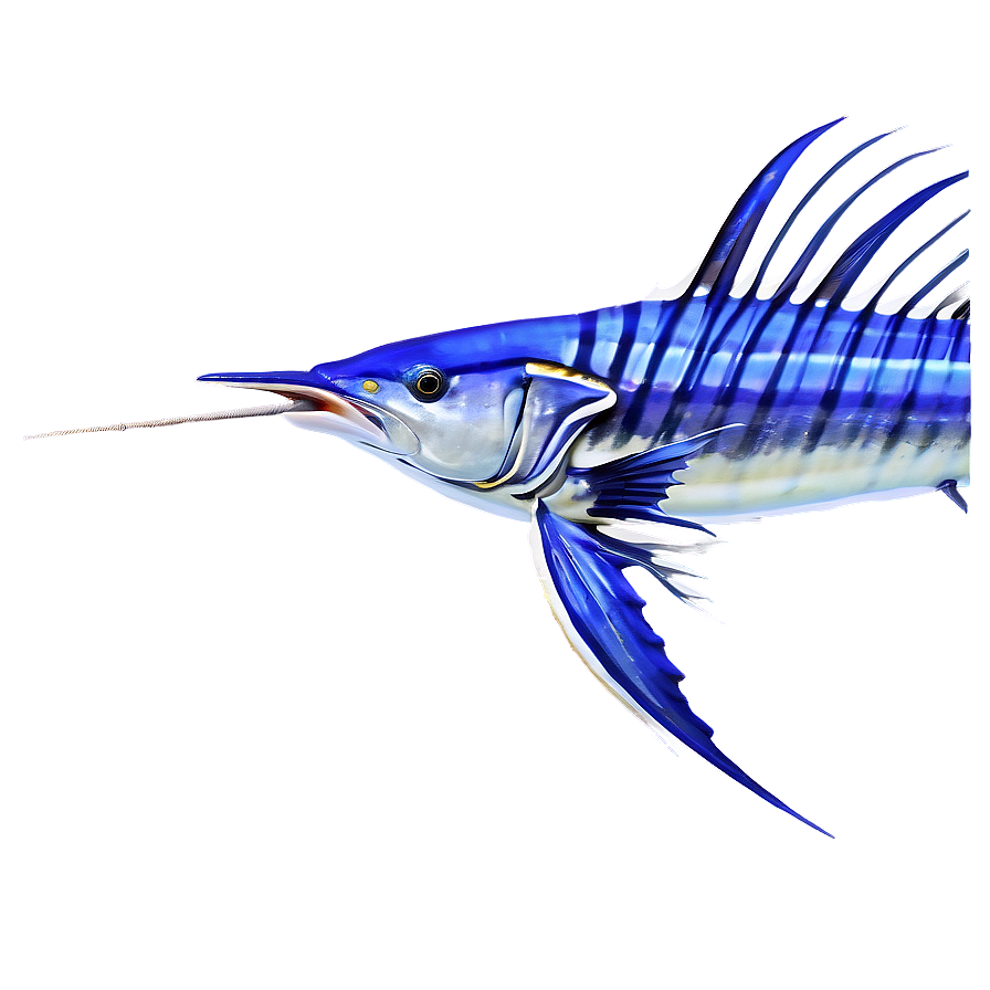 Sailfish Oceanic Journey Png 06262024 PNG image