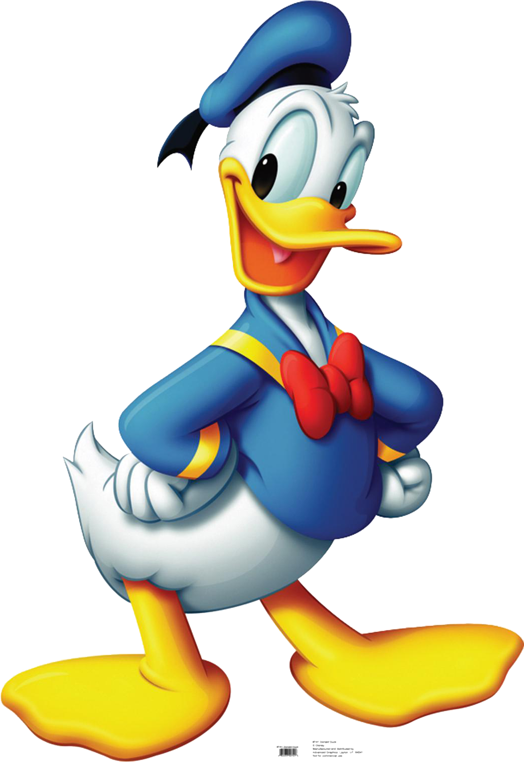Sailor Duck Cartoon Character PNG image