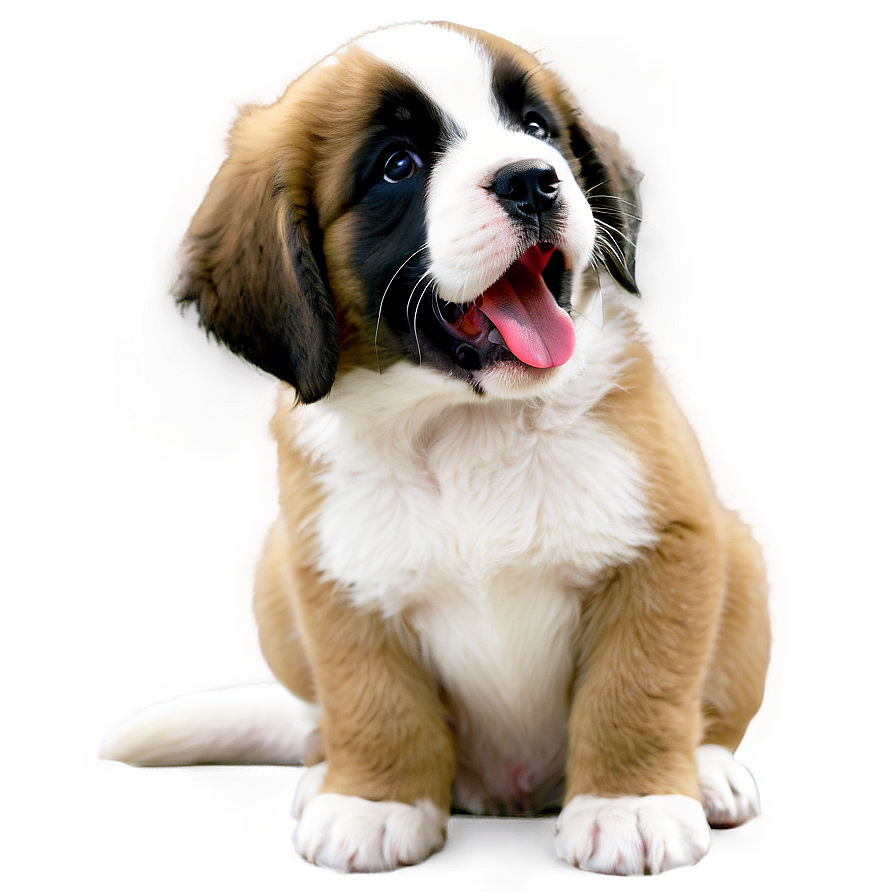 Saint Bernard Puppy Yawn Png Bpt4 PNG image