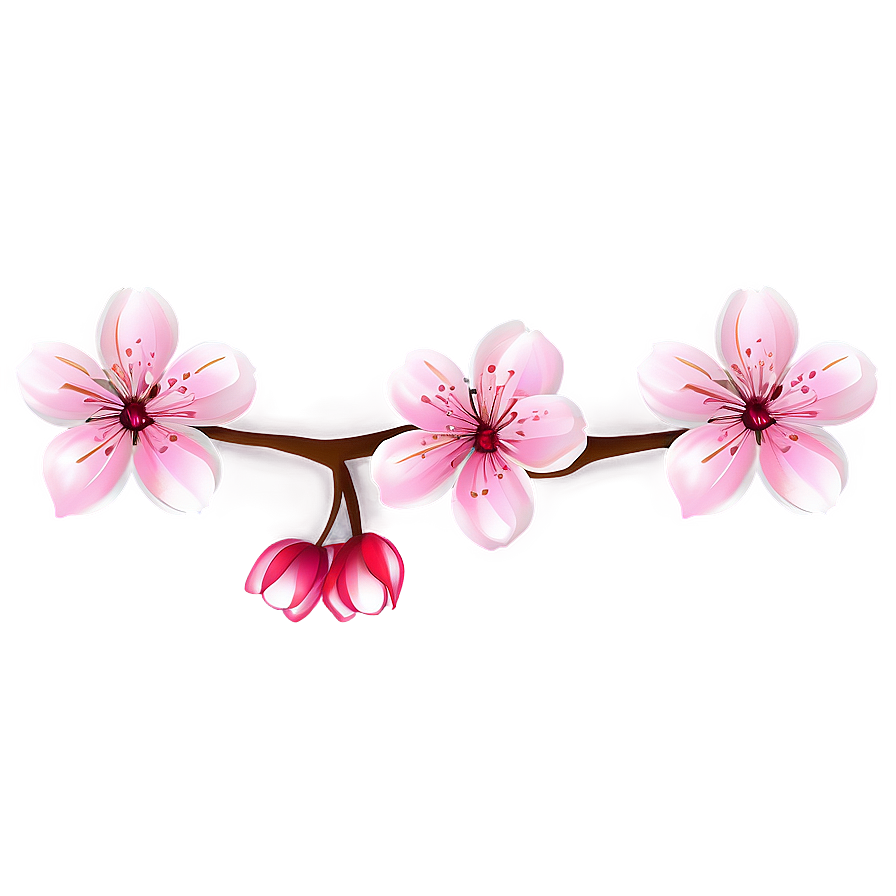 Sakura Flower Art Png Pfe PNG image