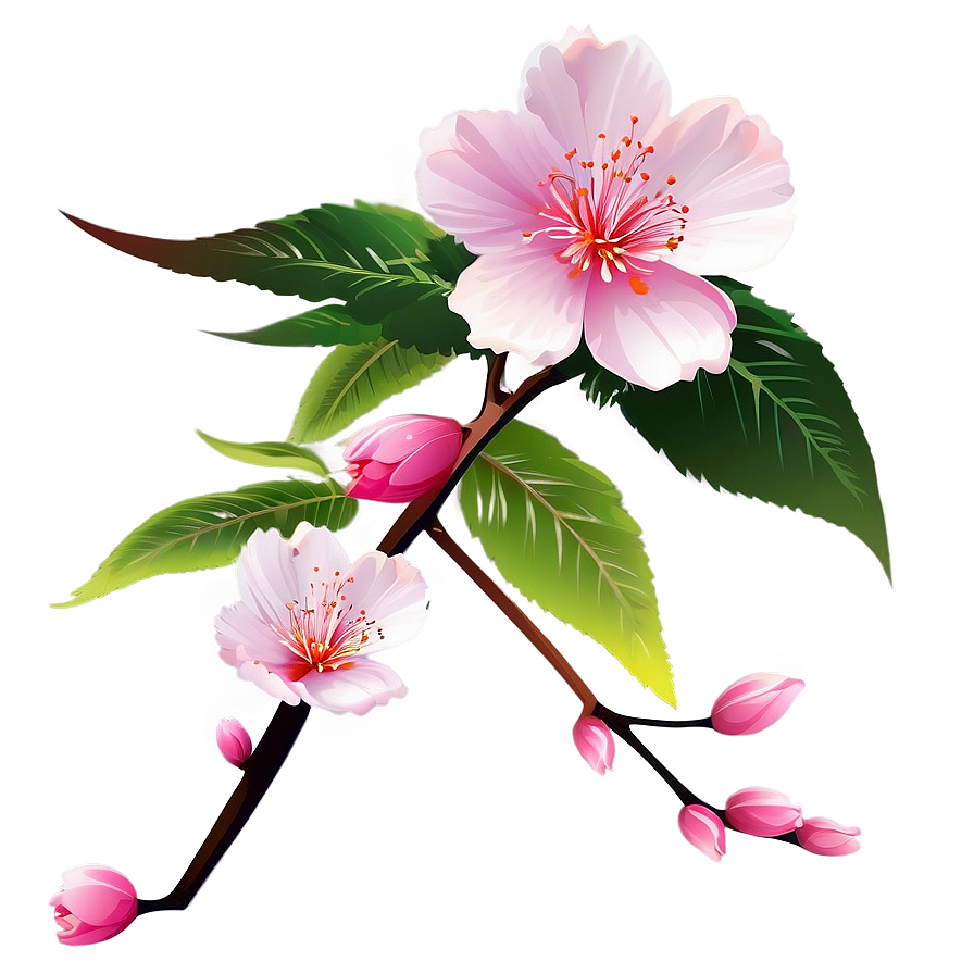 Sakura Flower Vector Png Qdf98 PNG image