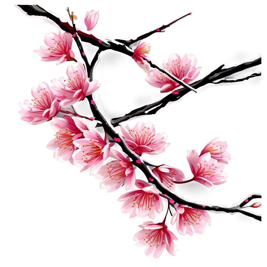 Sakura Tree Branch Close-up Png 82 PNG image