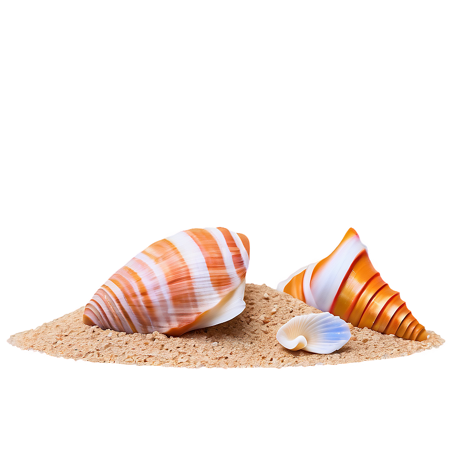 Sand And Sea Shells Png 05242024 PNG image