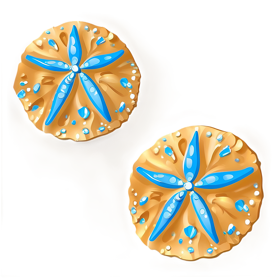 Sand Dollar Decoration Png 06212024 PNG image