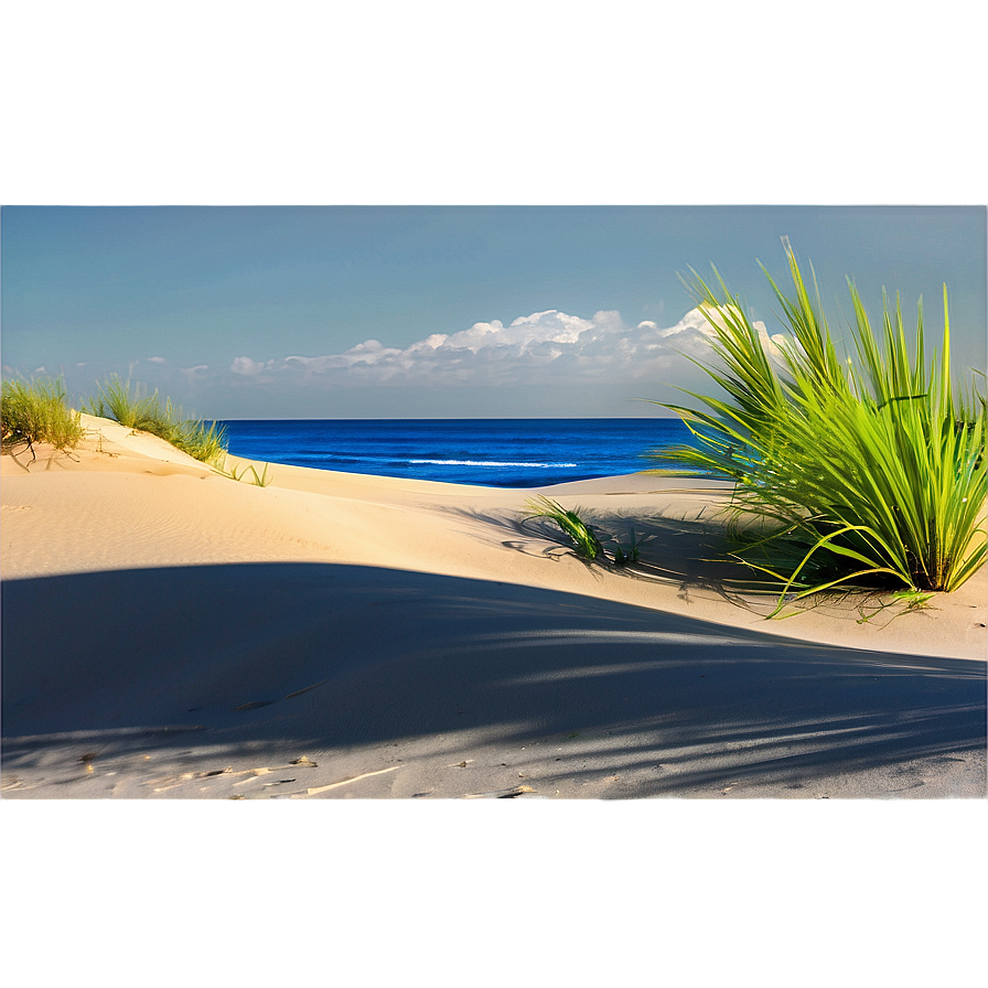 Sandy Coastal Dunes Landscape Png Clv PNG image