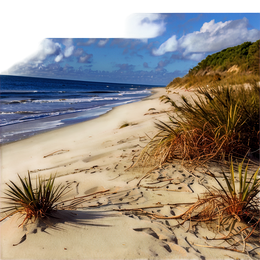 Sandy Coastal Dunes Landscape Png Dsl PNG image