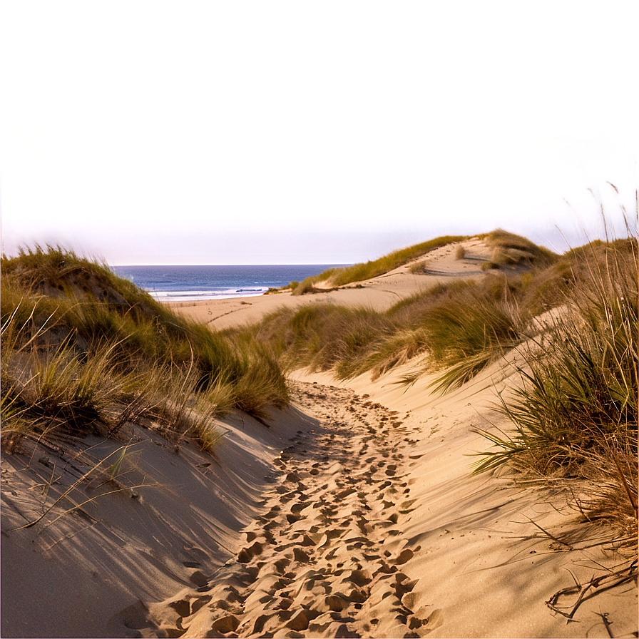 Sandy Path Through Dunes Png 06242024 PNG image