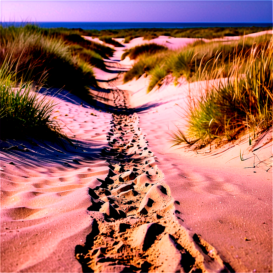 Sandy Path Through Dunes Png 28 PNG image