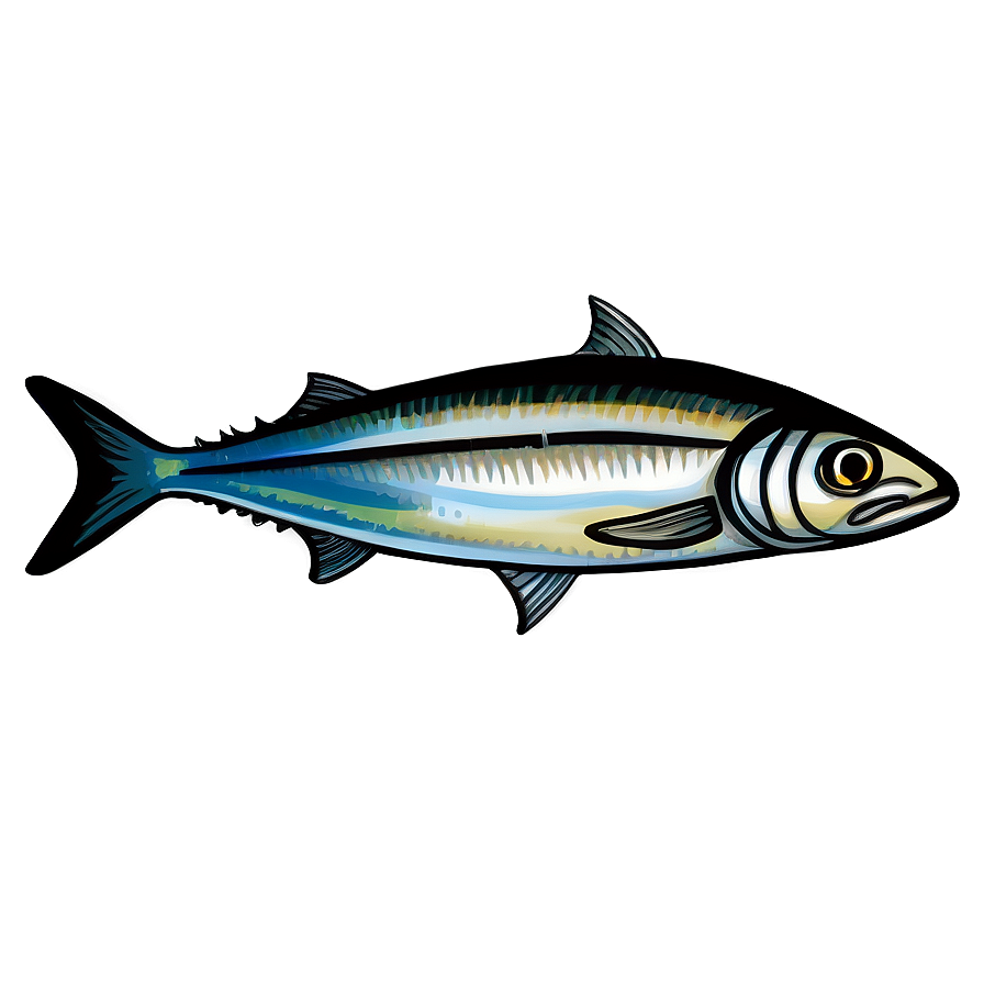 Sardine Art Png 06292024 PNG image