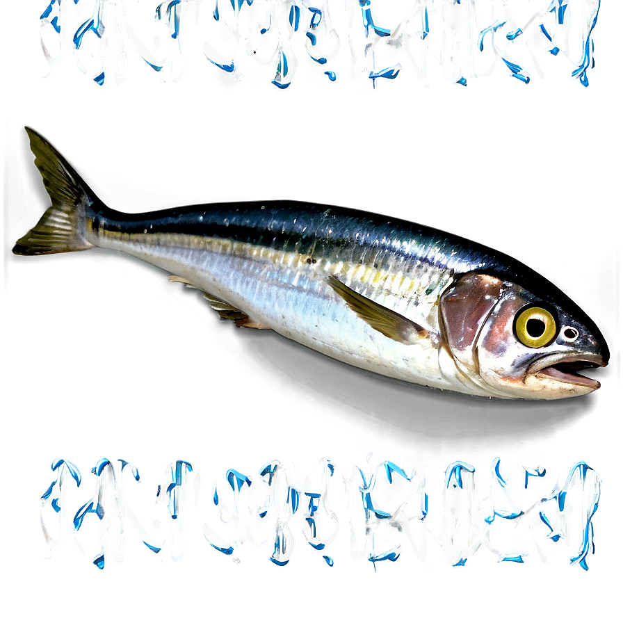 Sardine Can Open Png Fmd PNG image