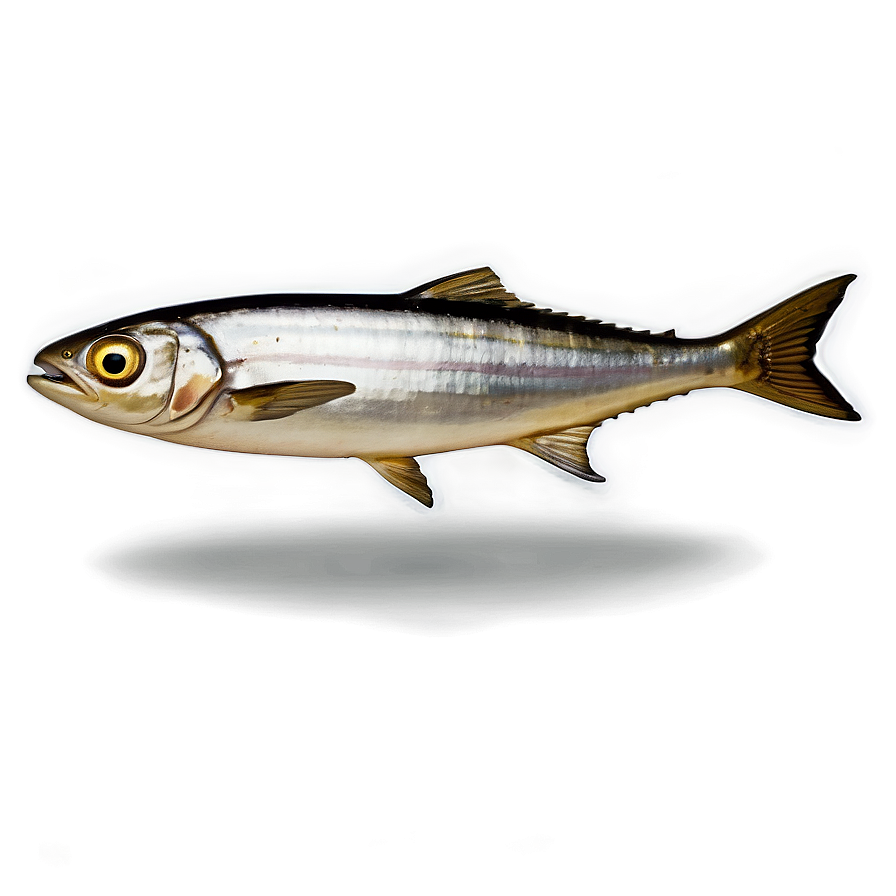 Sardine Emoji Png Uff40 PNG image